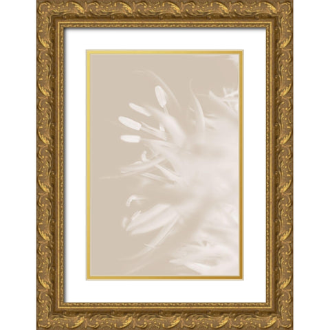 Flower Beige_1 Gold Ornate Wood Framed Art Print with Double Matting by 1x Studio III