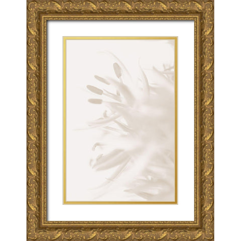 FLOWER BEIGE_2 Gold Ornate Wood Framed Art Print with Double Matting by 1x Studio III