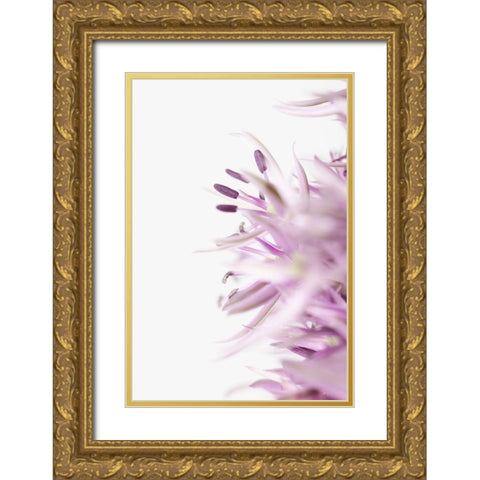 FLOWER PURPLE Gold Ornate Wood Framed Art Print with Double Matting by 1x Studio III