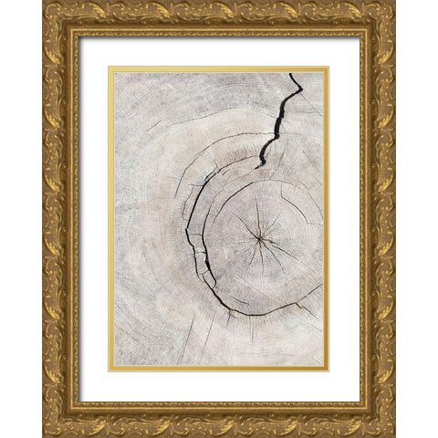 Pattern_Wood_2 Gold Ornate Wood Framed Art Print with Double Matting by 1x Studio III