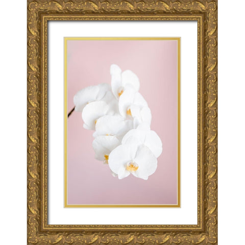 Orchid_2 Gold Ornate Wood Framed Art Print with Double Matting by 1x Studio III