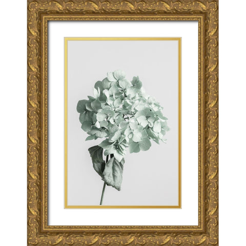 Green dried flower Gold Ornate Wood Framed Art Print with Double Matting by 1x Studio III