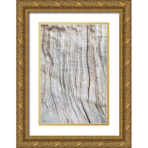 Wood Pattern Gold Ornate Wood Framed Art Print with Double Matting by 1x Studio III