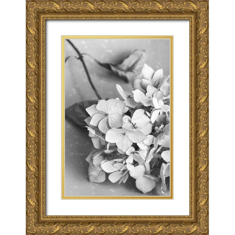 Dried Flowe ron Plate_black a white Gold Ornate Wood Framed Art Print with Double Matting by 1x Studio III