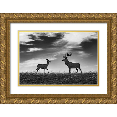 Meeting Gold Ornate Wood Framed Art Print with Double Matting by Kravanja, Jure