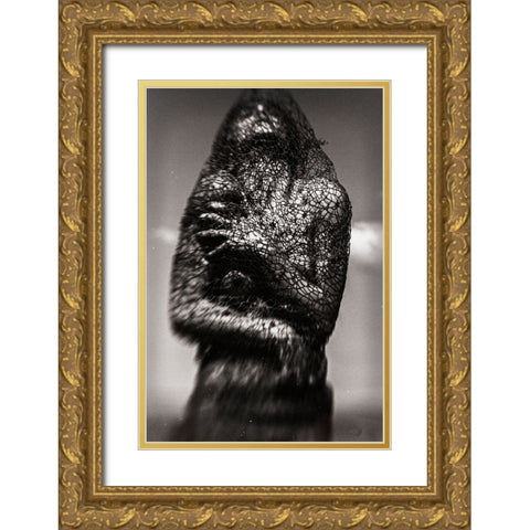 Cocoon Gold Ornate Wood Framed Art Print with Double Matting by Bousca, Bogdan