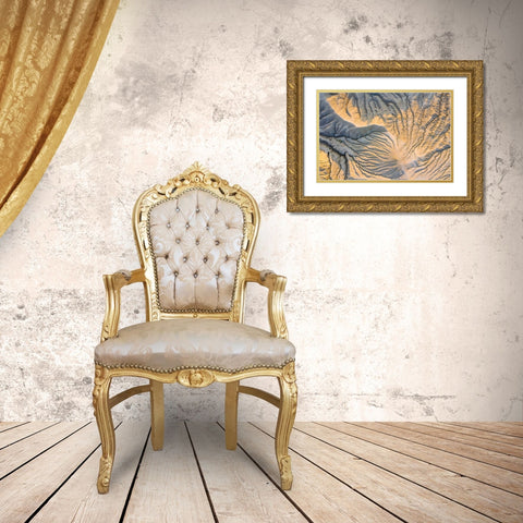 Geological Wonder Gold Ornate Wood Framed Art Print with Double Matting by Constantin, Lucian
