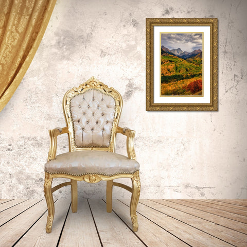 Capitol Peak Gold Ornate Wood Framed Art Print with Double Matting by Zheng, Michael