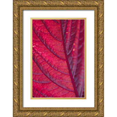Red Leaf Gold Ornate Wood Framed Art Print with Double Matting by 1x Studio III