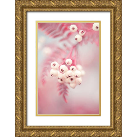 Berries on a twig No2 Gold Ornate Wood Framed Art Print with Double Matting by 1x Studio III