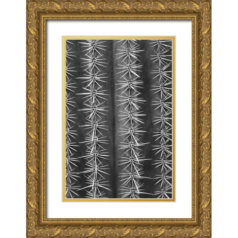 Cactus black and white Gold Ornate Wood Framed Art Print with Double Matting by 1x Studio III