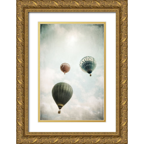 Freedom Gold Ornate Wood Framed Art Print with Double Matting by Huybrighs, Marc