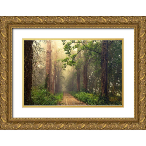 After Summer Gold Ornate Wood Framed Art Print with Double Matting by Van Dongen, Anton