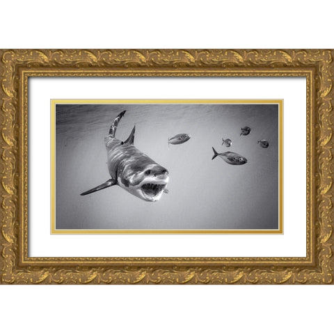Chase Game With Great White Gold Ornate Wood Framed Art Print with Double Matting by Rebro, Marcel