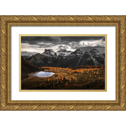 A Burst Of Gold In Larch Valley Gold Ornate Wood Framed Art Print with Double Matting by G, May