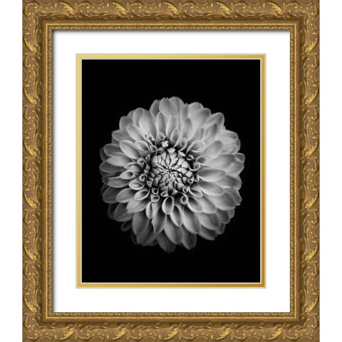Marigold Gold Ornate Wood Framed Art Print with Double Matting by Zhao, Alex
