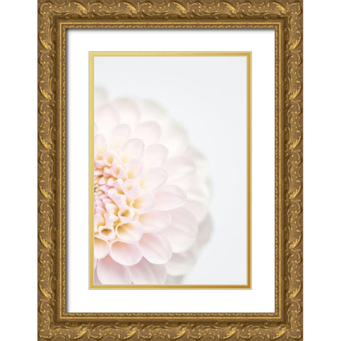 Pink Flower No2 Gold Ornate Wood Framed Art Print with Double Matting by 1x Studio III