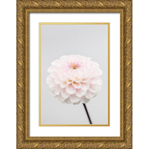 Pink Flower No3 Gold Ornate Wood Framed Art Print with Double Matting by 1x Studio III