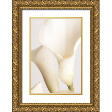 White Calla Lily No 2 Gold Ornate Wood Framed Art Print with Double Matting by 1x Studio III