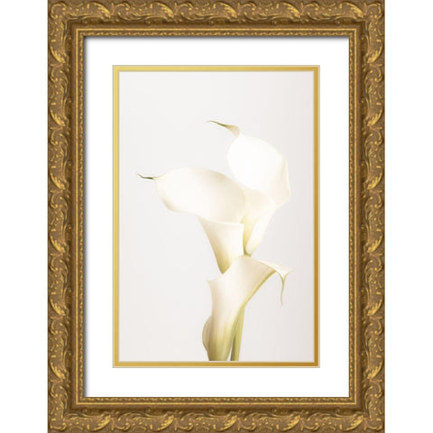 White Calla Lily No 3 Gold Ornate Wood Framed Art Print with Double Matting by 1x Studio III