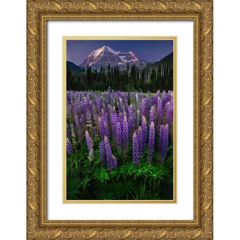 Mt Robson Gold Ornate Wood Framed Art Print with Double Matting by Poushkina, Marina