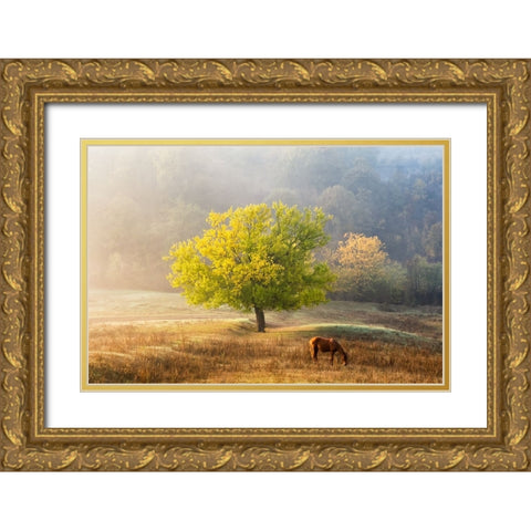 Tree Of Life Gold Ornate Wood Framed Art Print with Double Matting by Prioteasa, Sebastian