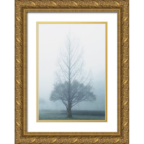 Two Trees Gold Ornate Wood Framed Art Print with Double Matting by Allen, Elizabeth