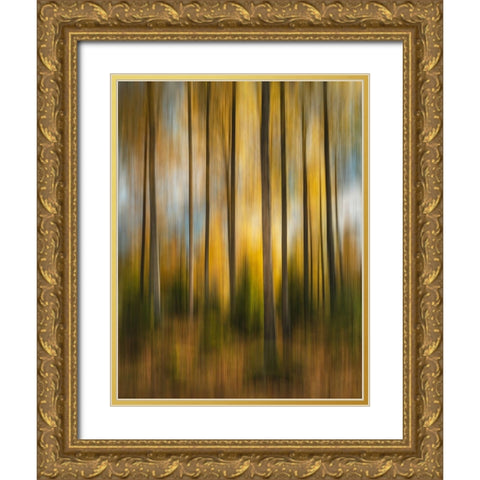 Autumn Forest Shaky Gold Ornate Wood Framed Art Print with Double Matting by Lindsten, Christian