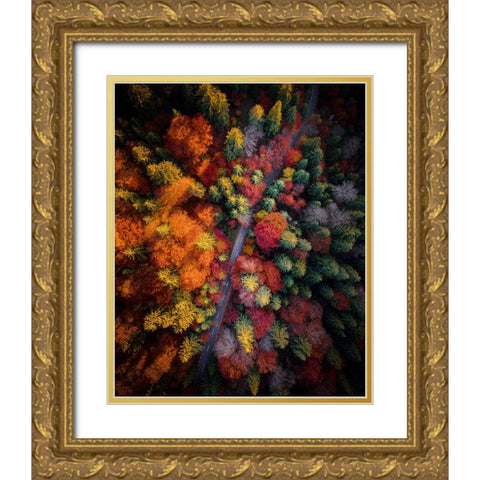 Fall stories Gold Ornate Wood Framed Art Print with Double Matting by Razvan