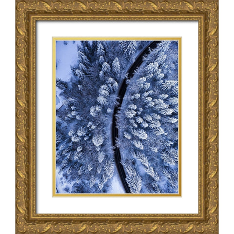 The road not taken Gold Ornate Wood Framed Art Print with Double Matting by Razvan