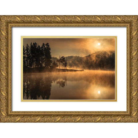 Sunny Morning Gold Ornate Wood Framed Art Print with Double Matting by Alexandrov, Alexander