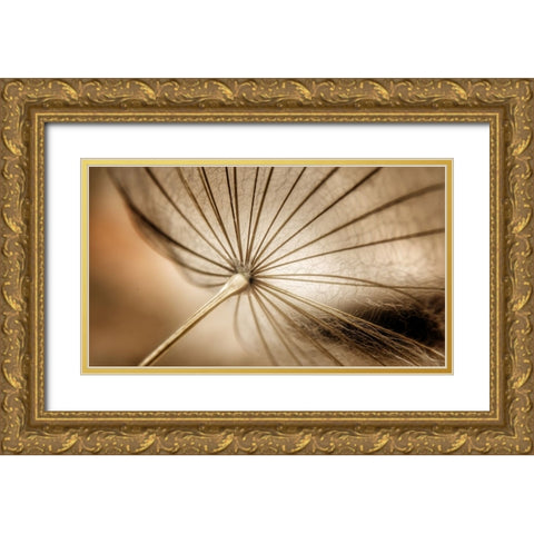 Nature blood vessels Gold Ornate Wood Framed Art Print with Double Matting by Pessach, Kobbie