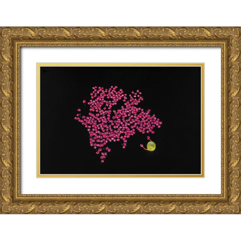 Harvesting water lilies Gold Ornate Wood Framed Art Print with Double Matting by Tanvir