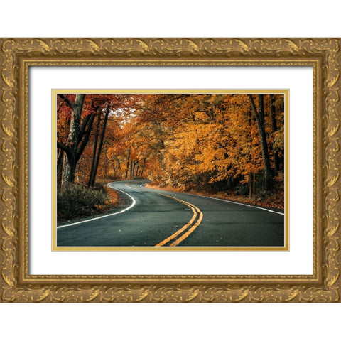 Road To Fall Gold Ornate Wood Framed Art Print with Double Matting by Rong, Herbert