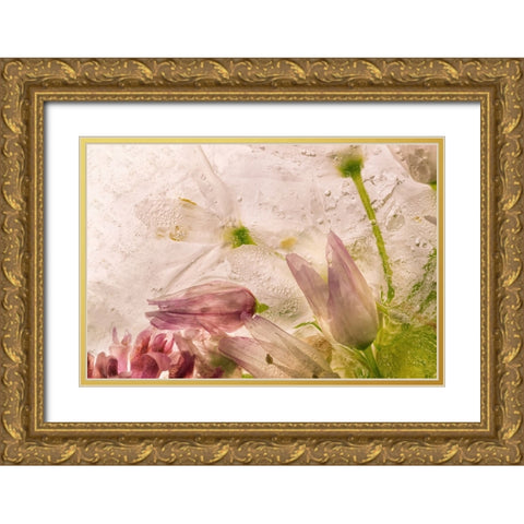 Glacial Rose Gold Ornate Wood Framed Art Print with Double Matting by Satriani, Giuseppe