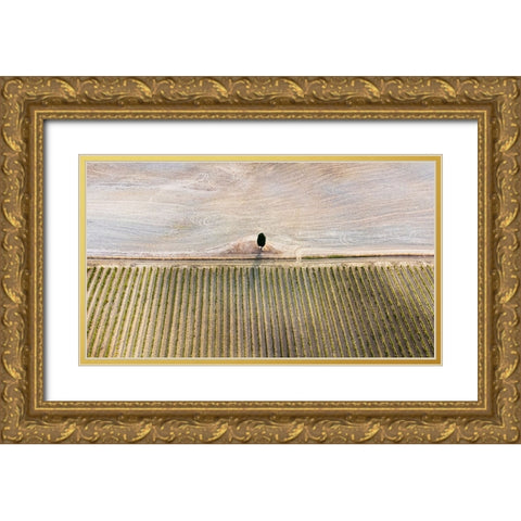 Il Re E Il Suo Esercito Gold Ornate Wood Framed Art Print with Double Matting by Lavezzo, Luca
