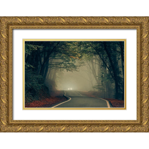 Untitled Gold Ornate Wood Framed Art Print with Double Matting by Tiryakioglu, Mustafa