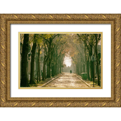 Untitled Gold Ornate Wood Framed Art Print with Double Matting by Tiryakioglu, Mustafa