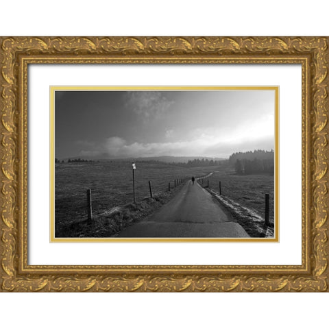 Winter Is Coming Soon Gold Ornate Wood Framed Art Print with Double Matting by Peter Rank, Hans