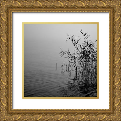 Mist over the lake 2021 Gold Ornate Wood Framed Art Print with Double Matting by Riis, Poul-Erik