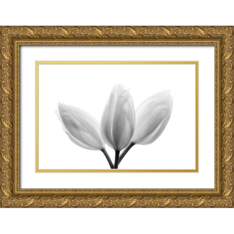 Trinity Gold Ornate Wood Framed Art Print with Double Matting by Davidson, Peter