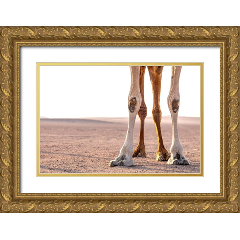 Miles Gold Ornate Wood Framed Art Print with Double Matting by Visagie, Ane