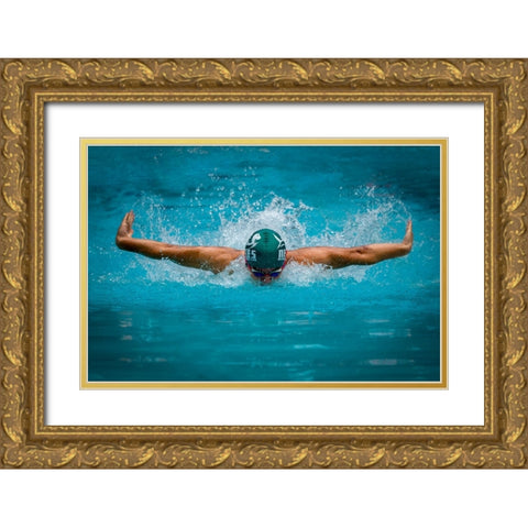 Flying Dolphin Gold Ornate Wood Framed Art Print with Double Matting by Deng, Lei