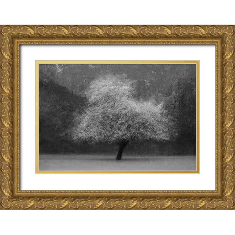 Tree Magic Gold Ornate Wood Framed Art Print with Double Matting by Holmstrom, Katarina