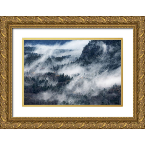 A Valley In The Fog Gold Ornate Wood Framed Art Print with Double Matting by Yamada, Tomomi