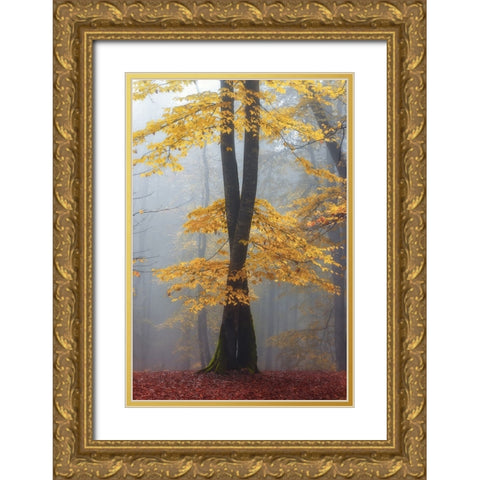 Loving trees Gold Ornate Wood Framed Art Print with Double Matting by Hafezi, Shahram