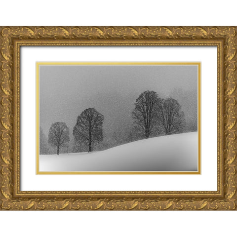 Snow White Gold Ornate Wood Framed Art Print with Double Matting by Dauer, Andy