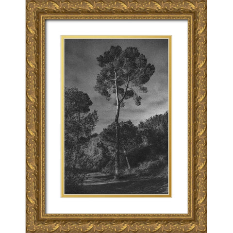 Arbores Gold Ornate Wood Framed Art Print with Double Matting by Aston, Pepa