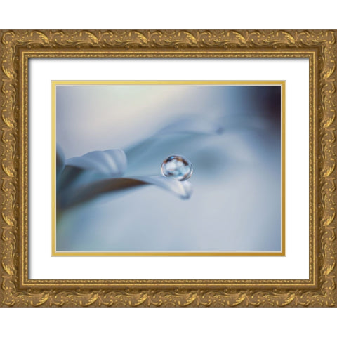 Non mi lasciare Gold Ornate Wood Framed Art Print with Double Matting by Bonazza, Lara