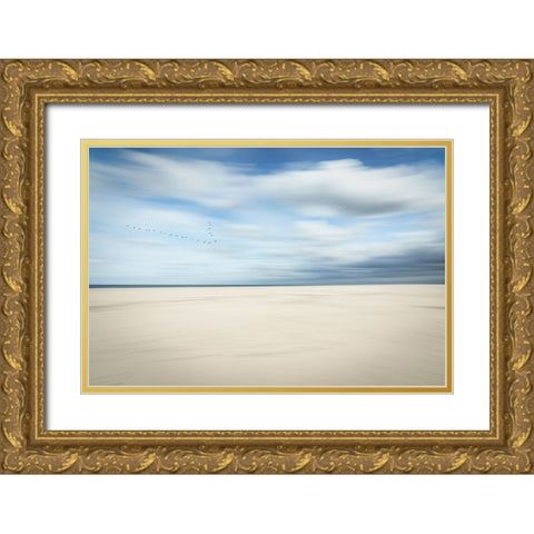 Birds At The Seaside Gold Ornate Wood Framed Art Print with Double Matting by Reichelt, Dieter